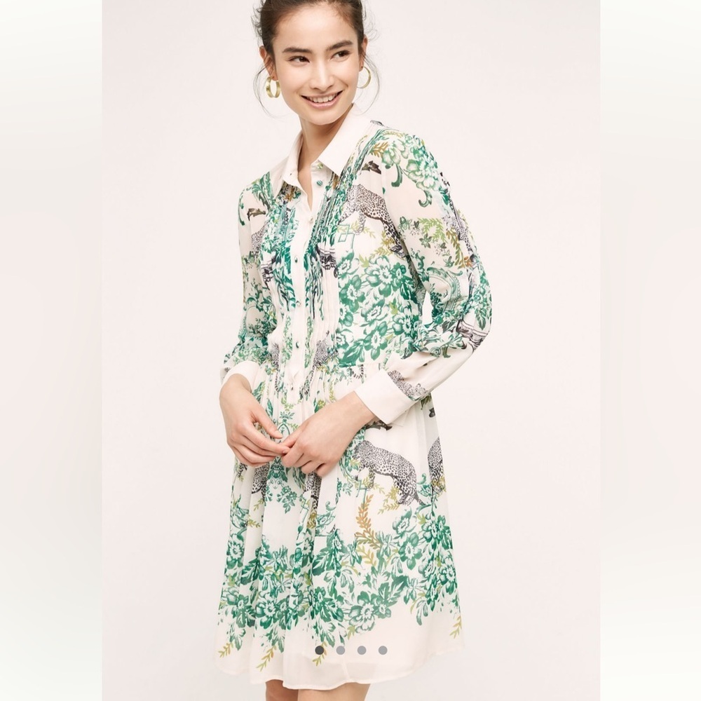 Maeve Ria Dropwaist Shirtdress in Green Motif - Size 2